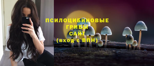 МДМА Богданович