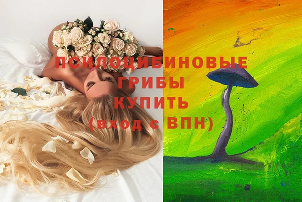 mix Богородицк