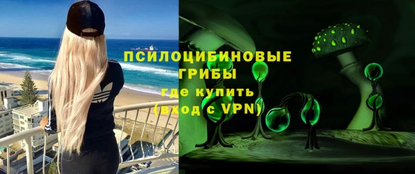 mix Богородицк